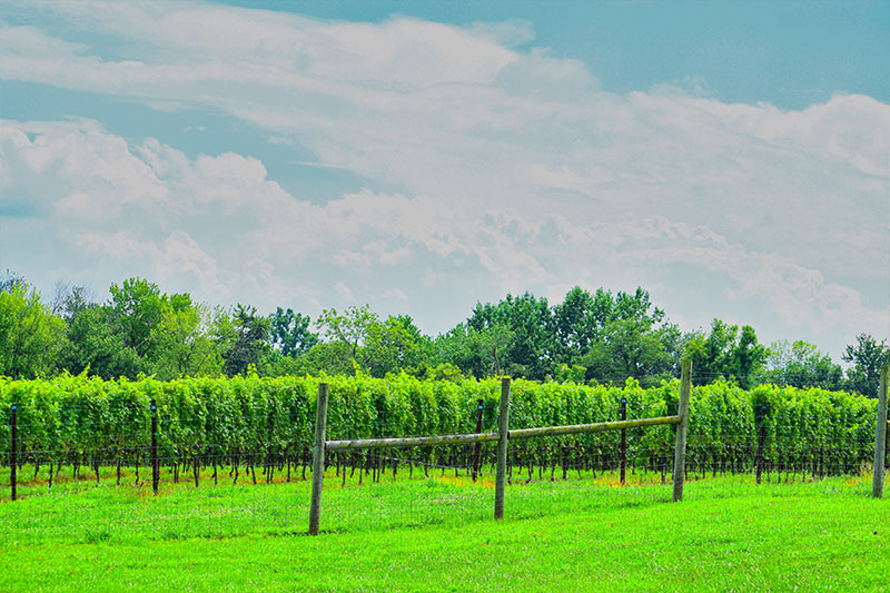 best winery’s to visit in Maryland